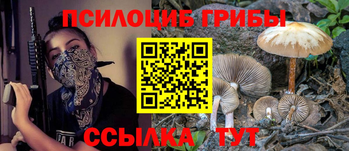 Звенигород  Галлюциногенные грибы Psilocybe  Вход с VPN 
